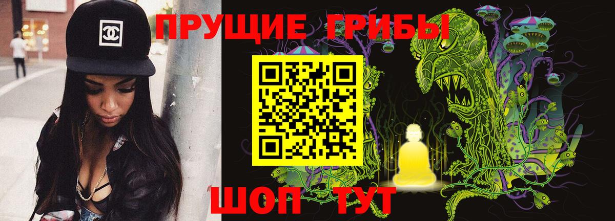 Полысаево  Псилоцибиновые грибы GOLDEN TEACHER  Вход с VPN 